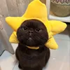 phuongtrinhh_1611