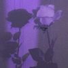 fbrnti_021
