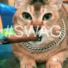 s0uthlynx_j4guar