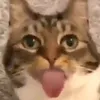 forblues69