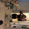 adaleenxo