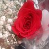 anny.lara82