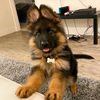 philipp__int_k