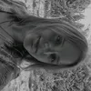 lime_gallery