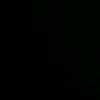 bi_019