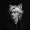 _poetic_fox_
