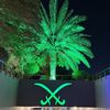 x55q1