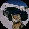 user24721158