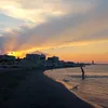 leila_zouyen