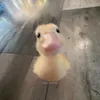 sofkingfunny_3