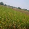 user1054300743393