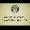 asifkhan40526