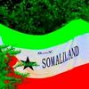 magoolkhaliif