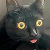 lulu.gee