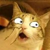 gothspicechannel