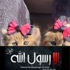 user5833980533092