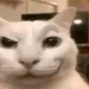 godzileonok