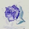 kimberline_23