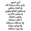 majed2025sinan