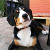 rayodehond0