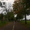 emily_squire