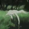 notoxanaks