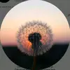 hellojennifer520