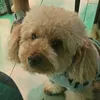 danooo.privv