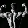 www.santo79