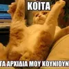 steliosfragkiadoulakis