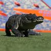 gatorfan0