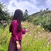 yang.zoo