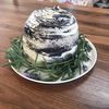 olive_ramdom_stuff