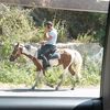hovsep_pogonosyan4