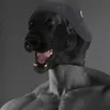 __d4n13l_