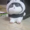 ngockupy