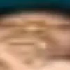 sanichedegdogdog