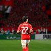 adammohamed6074