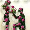 user1183134327023