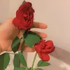 dyjr5nls1qdi