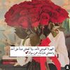 amalwalid3333