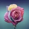 adryadry067