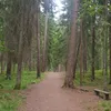 najiabiqar