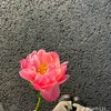 bee10102012