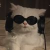 chloen1cole_