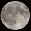 antoniopodda8
