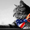 _bangbangkittygang