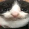 .kashykashy
