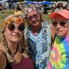 daytripper3969