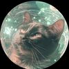 mokistorm